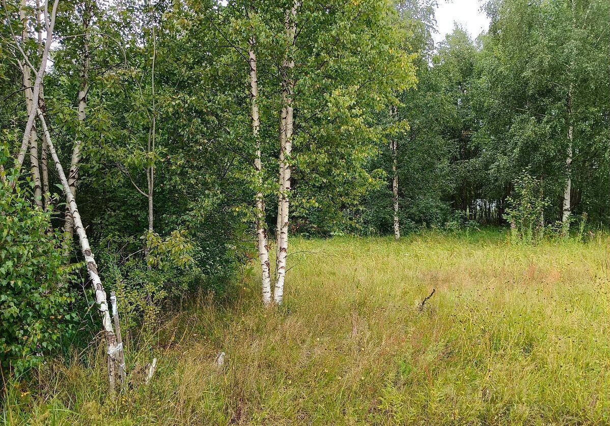 земля городской округ Подольск 19 км, д. Жарково, Варшавское шоссе фото 4