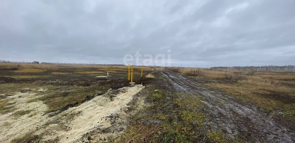 земля р-н Тамбовский п совхоза "Комсомолец" коттеджный посёлок Комсомолец фото 3