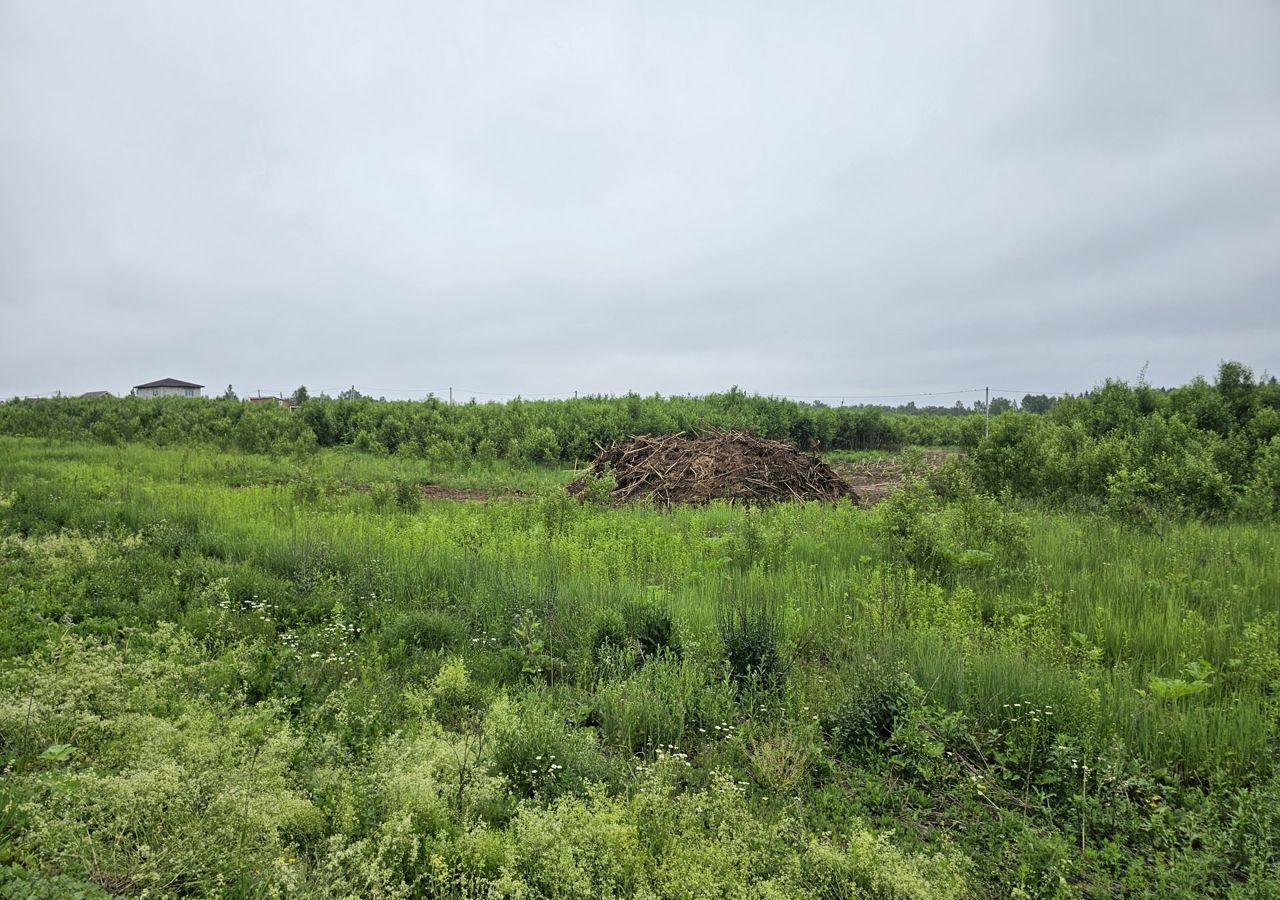 земля городской округ Рузский д Леньково 9801 км, Руза, Минское шоссе фото 2