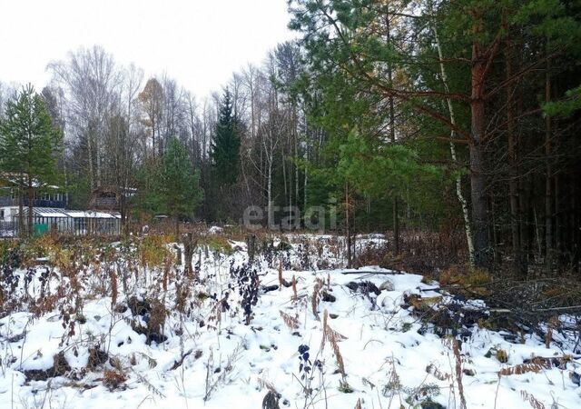 Придворцовая пл, Верхняя Салда фото