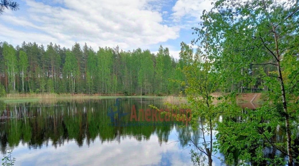 земля р-н Всеволожский п Рахья фото 1