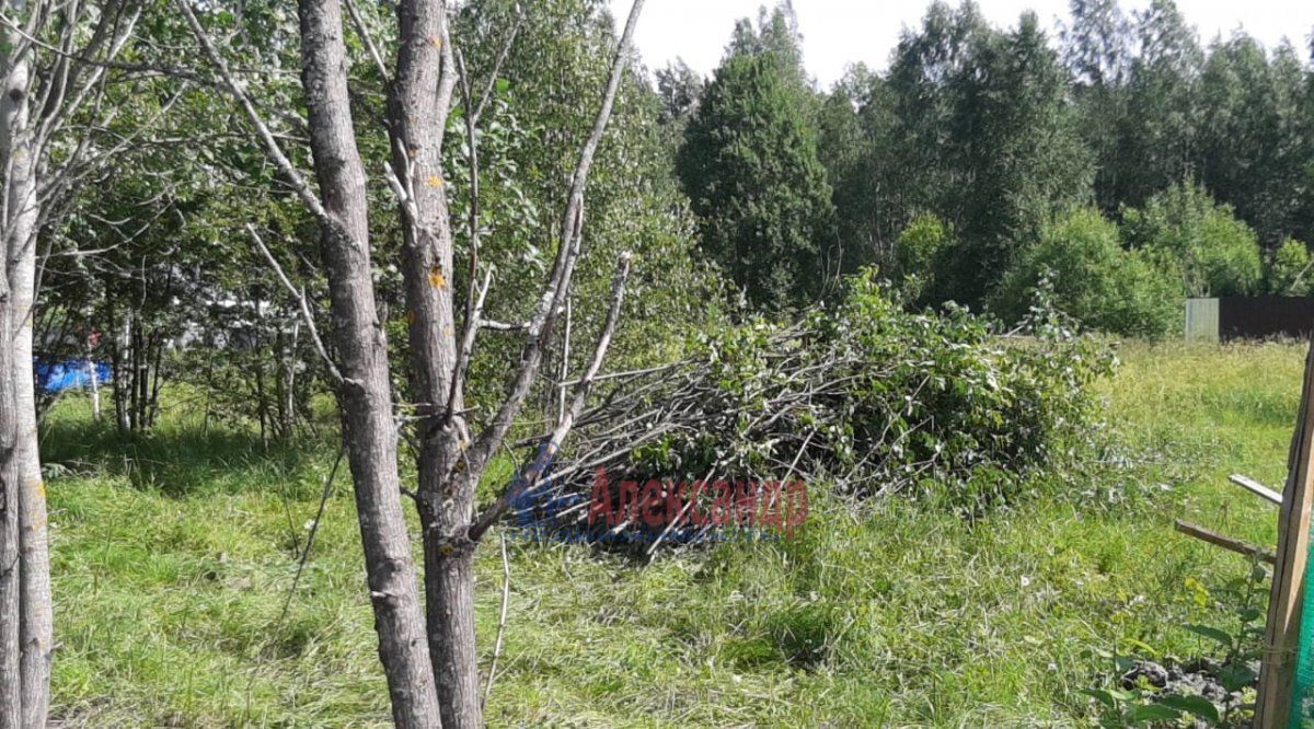 земля Каменногорское городское поселение, Выборгский район, Родник СНТ фото 4