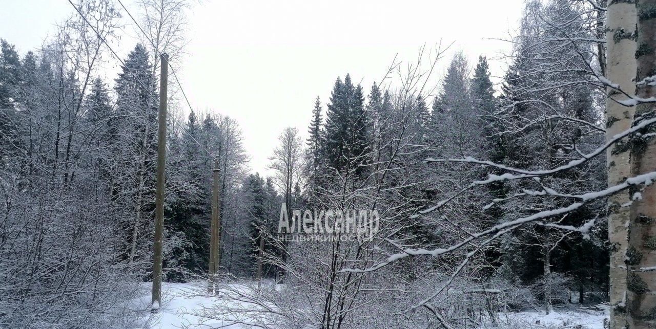 земля р-н Приозерский п Бурнево Приозерское городское поселение фото 4