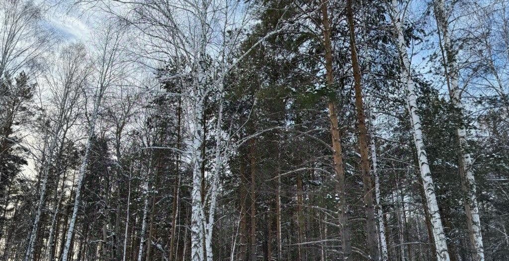 земля р-н Сысертский п Габиевский фото 3