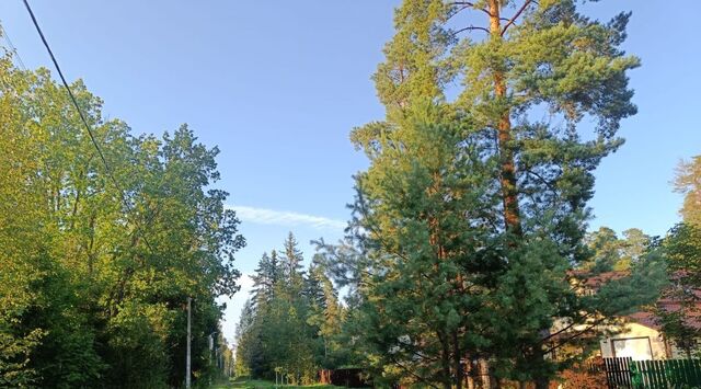 ул Ивана Шишкина Сиверское городское поселение фото