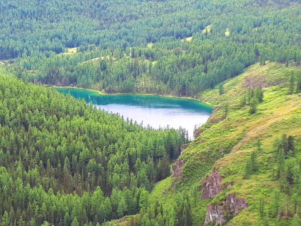 гостиницу р-н Улаганский с Акташ ул Ленинская 71 фото 16