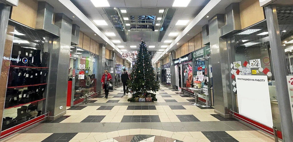 торговое помещение г Санкт-Петербург метро Пионерская пр-кт Коломяжский 15к/1 фото 12