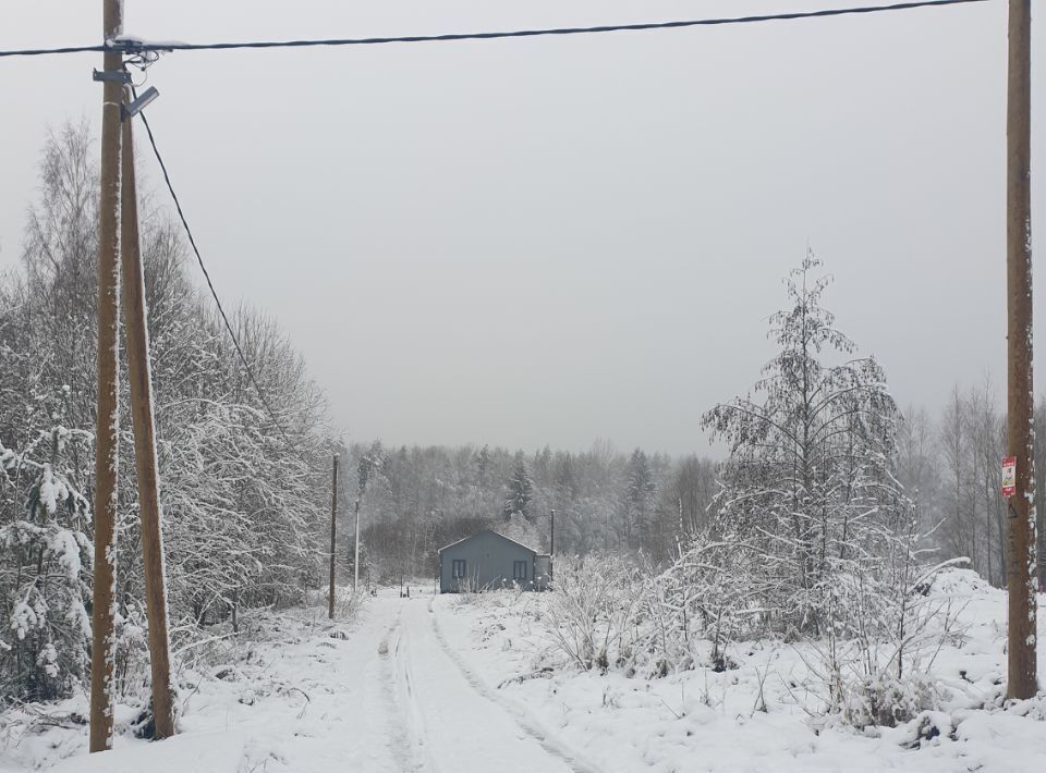 земля р-н Тосненский д Кирково Любанское городское поселение фото 7