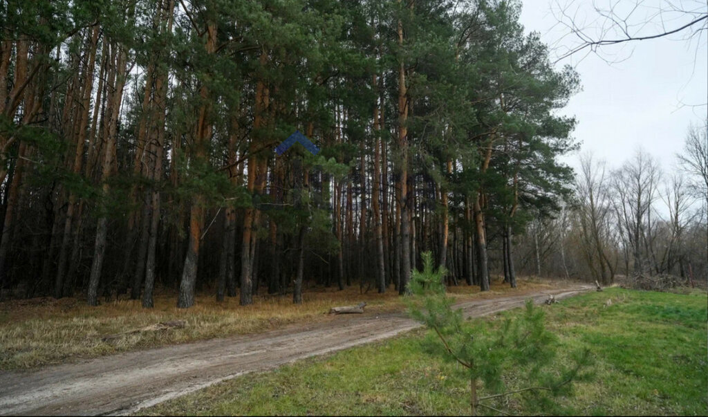 дом г Казань метро Площадь Тукая ул Березовая Роща фото 15