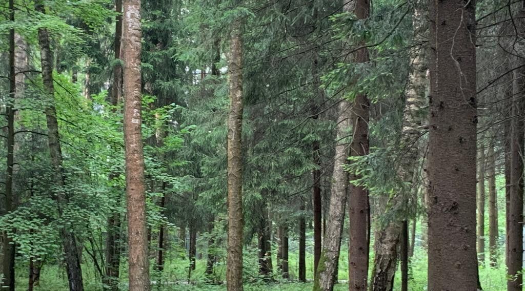 земля городской округ Раменский п Гжелка ул Запрудная 8 Раменское фото 6