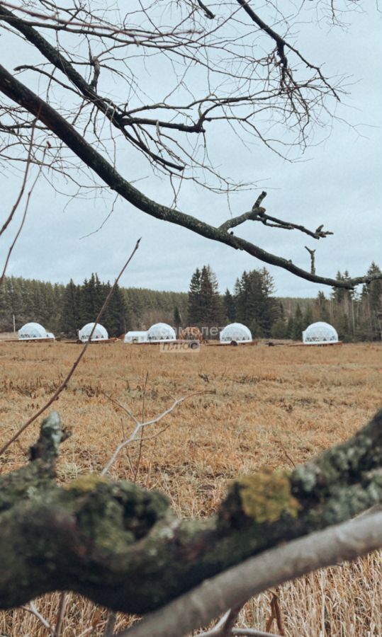 офис р-н Завьяловский д Лудорвай ул Окружная 23 Ижевск фото 5