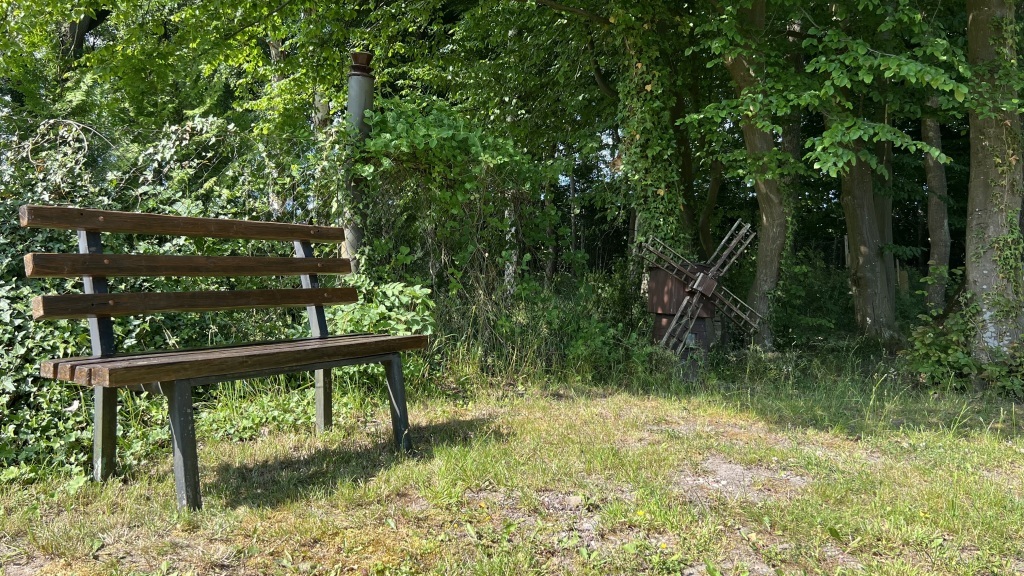 дом р-н Светлогорский п Приморье дом 8, переулок Солнечный фото 9