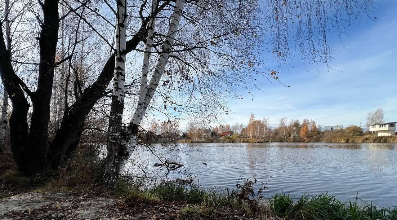 дом городской округ Раменский с Никитское тер. ТСН Никитские пруды ул 3-я Березовая фото 20