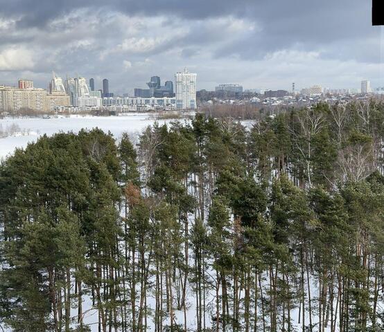 ЗАО 1 к 3, Московская область, Рублёво, Квартал №100 фото