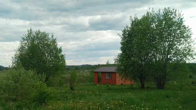 р-н Палкинский д Подчерничье фото