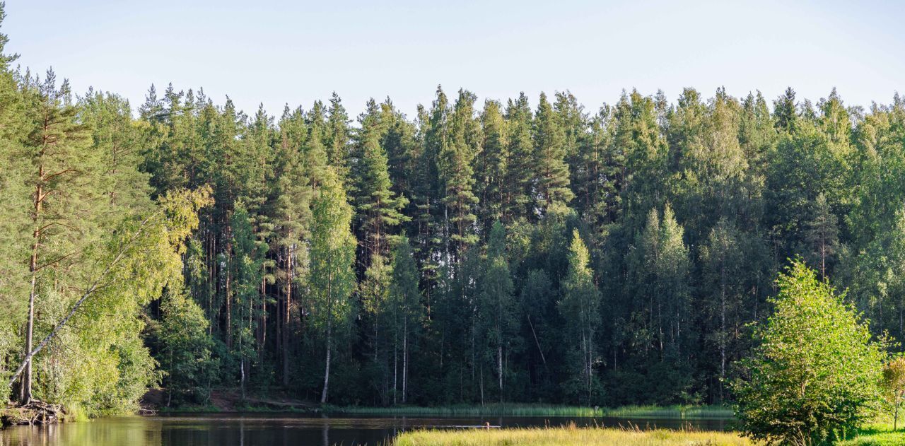 земля г Санкт-Петербург п Левашово Беговая, 24 фото 10