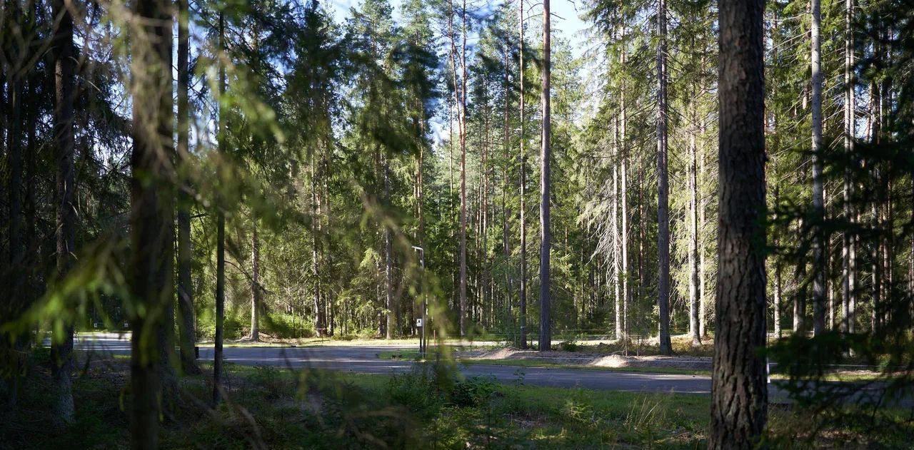 земля р-н Выборгский п Рощино Рощинское городское поселение фото 18