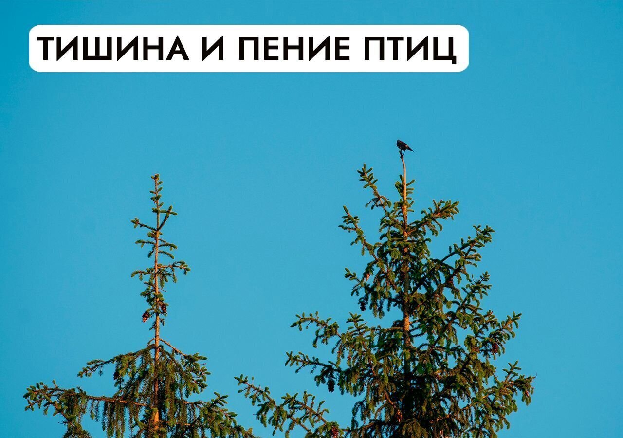 земля направление Рижское (северо-запад) ш Волоколамское 45 км, 46Н-02861, Глебовский фото 32