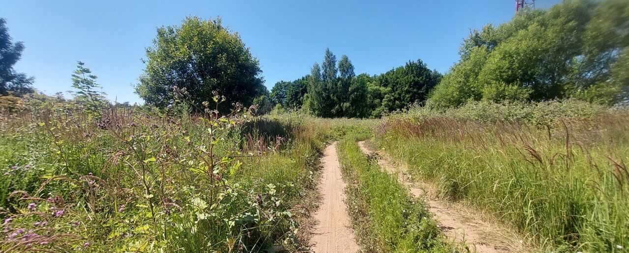 земля городской округ Клин д Борисово 71 км, Клин, Ленинградское шоссе фото 12