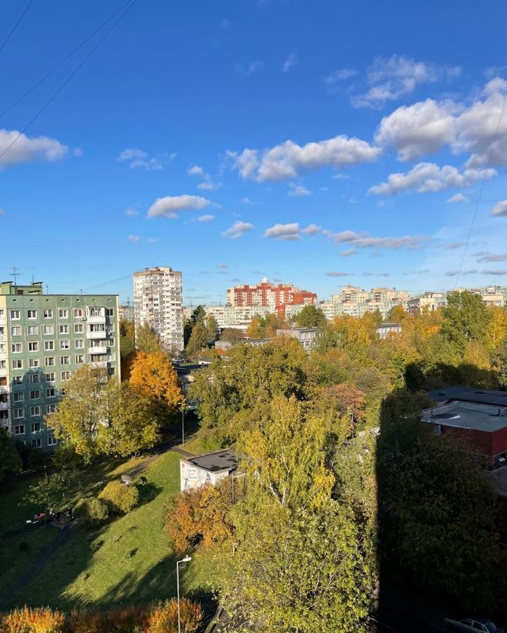 комната г Санкт-Петербург метро Ладожская пр-кт Ударников 18 фото 8