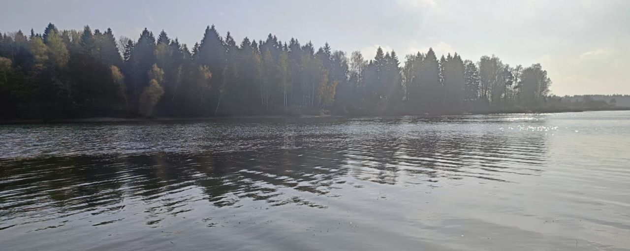 земля городской округ Рузский п Беляная Гора 80 км, Руза, Минское шоссе фото 10