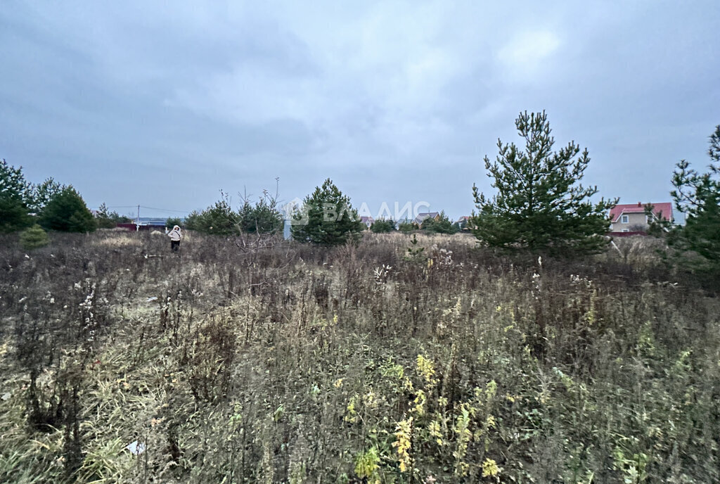 земля г Раменское снт Садко Раменское, Раменский городской округ фото 2