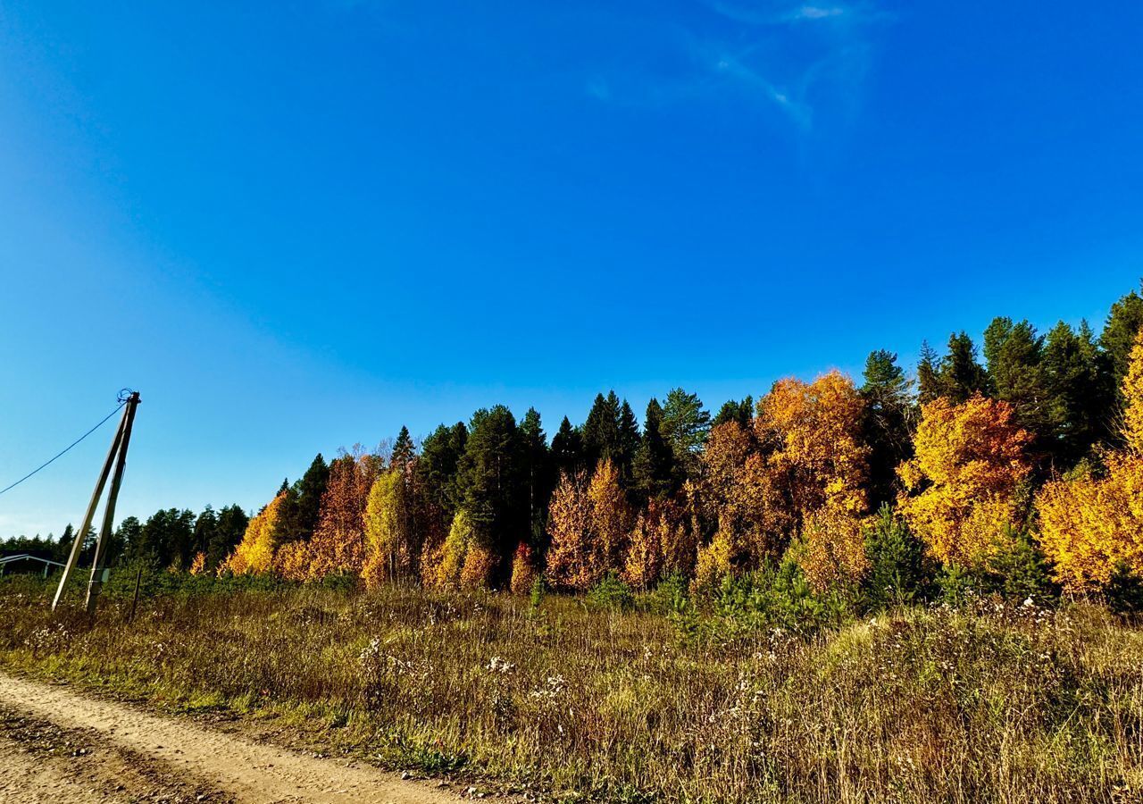 земля р-н Слободской Шиховское сельское поселение, Киров фото 2