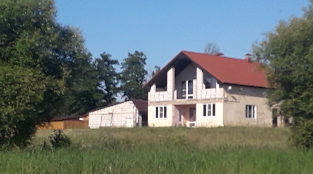 дом р-н Порховский д Борок (Красноармейская волость) Себежский район фото 1