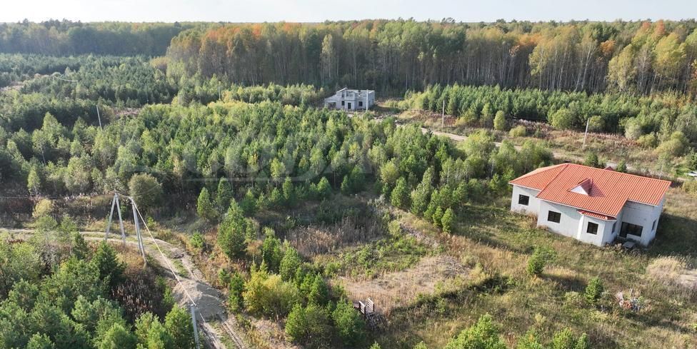 земля р-н Нижнетавдинский д Московка Косая линия, Тюмень фото 4