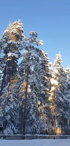 дом КП Сосновый берег территория, 36, Лососево фото