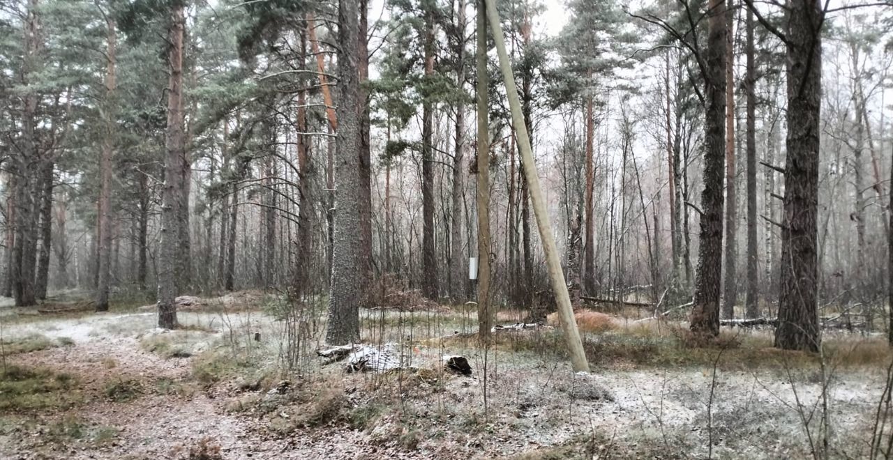 земля р-н Приозерский г Приозерск Трасса Сортавала, 101 км, Ларионовское сельское поселение фото 6