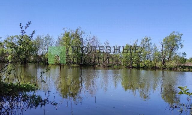 деревня Булгаковы Горки фото