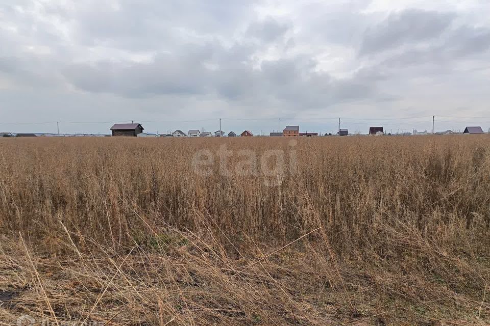 земля р-н Тюменский село Мальково фото 1