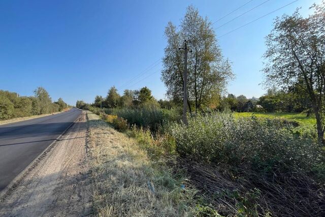 муниципальное образование Смоленск, СТ Мечта фото