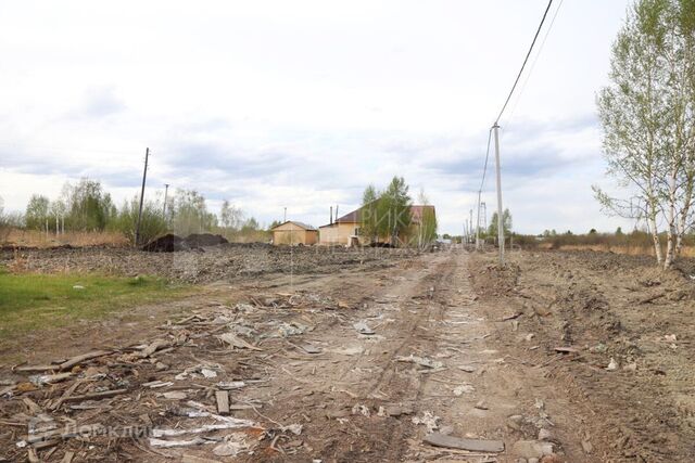 Тюмень городской округ, СО Ясень фото