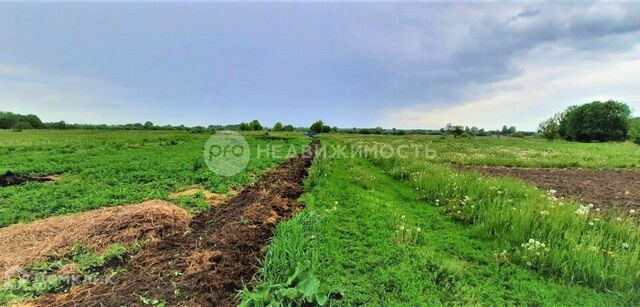 земля с Новики ул Школьная фото