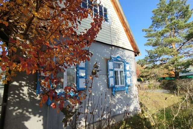 городской округ Курган, СНТ Зауралье фото