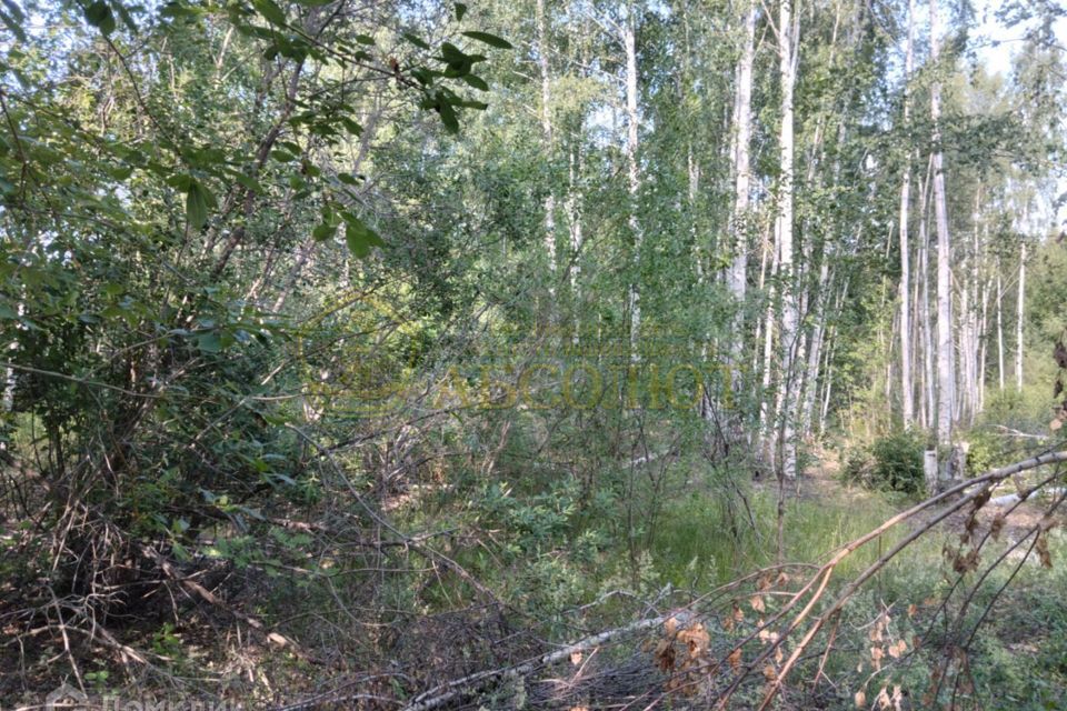 земля г Дегтярск Дегтярск городской округ, Лётчика Сафронова фото 4