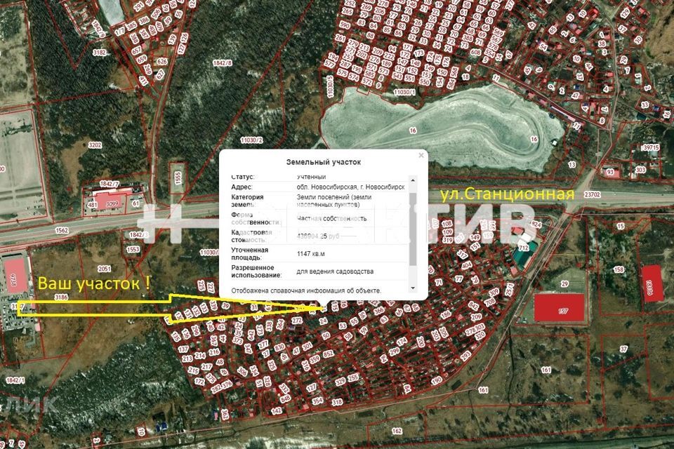 земля г Новосибирск Смородиновая, городской округ Новосибирск фото 1