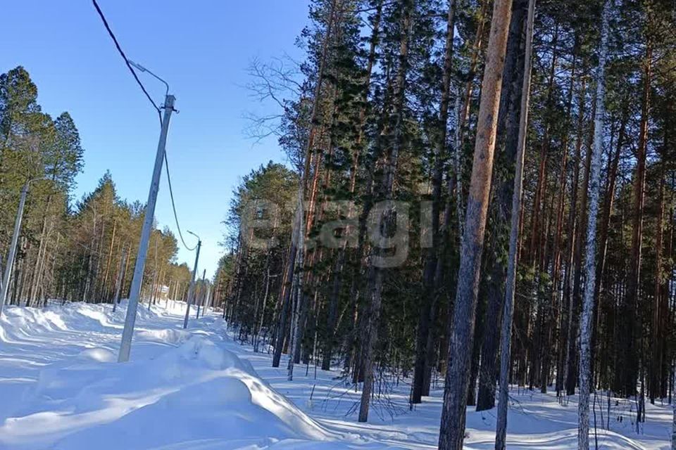 земля г Сургут Сургут городской округ, СНТ Маяк фото 1