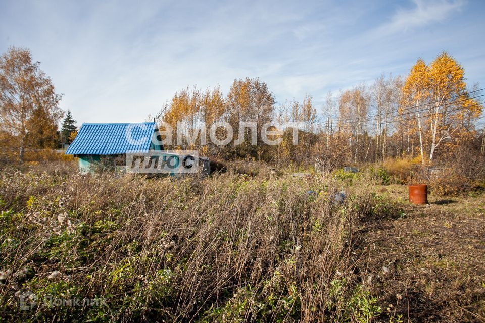 земля р-н Кемеровский Кемеровская область — Кузбасс, СДТ Русское поле фото 2