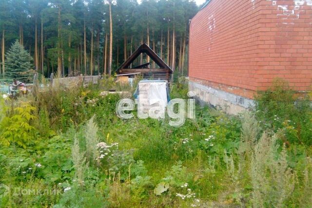 п Новотагилка Миасский городской округ, Кушнова фото