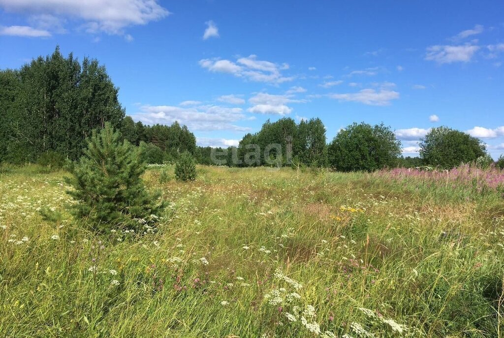 земля местечко Вичкодор, село Шошка фото 4