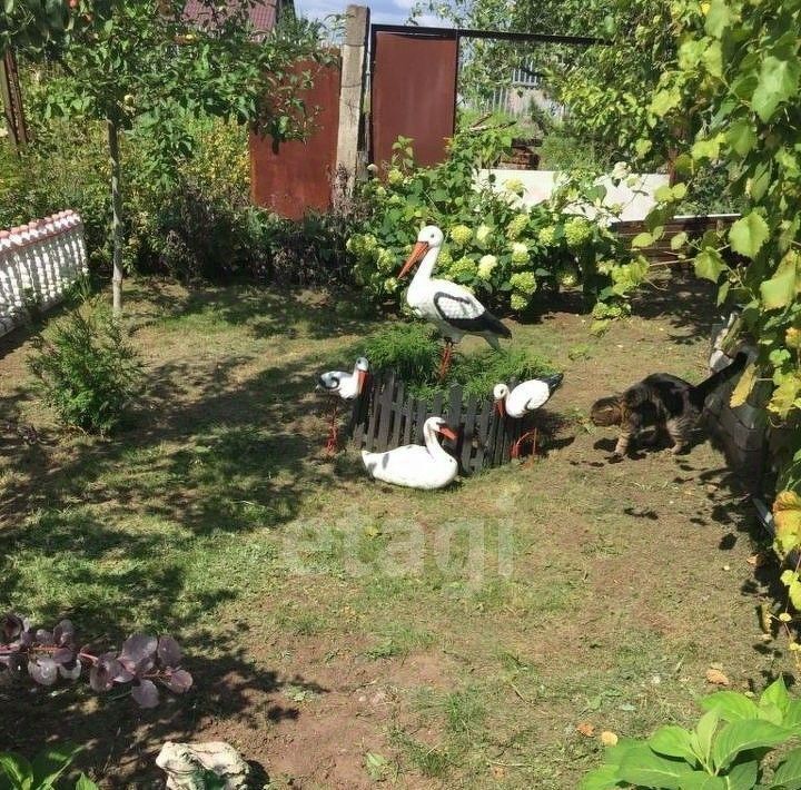 дом г Брянск р-н Фокинский Снежеть садовое общество фото 20