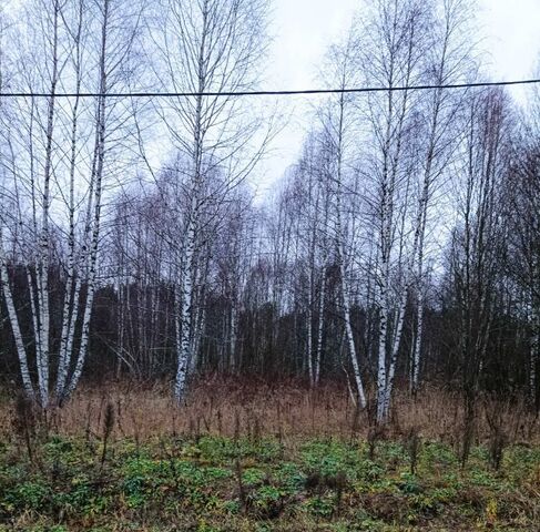 городской округ Сергиево-Посадский д Пузино фото