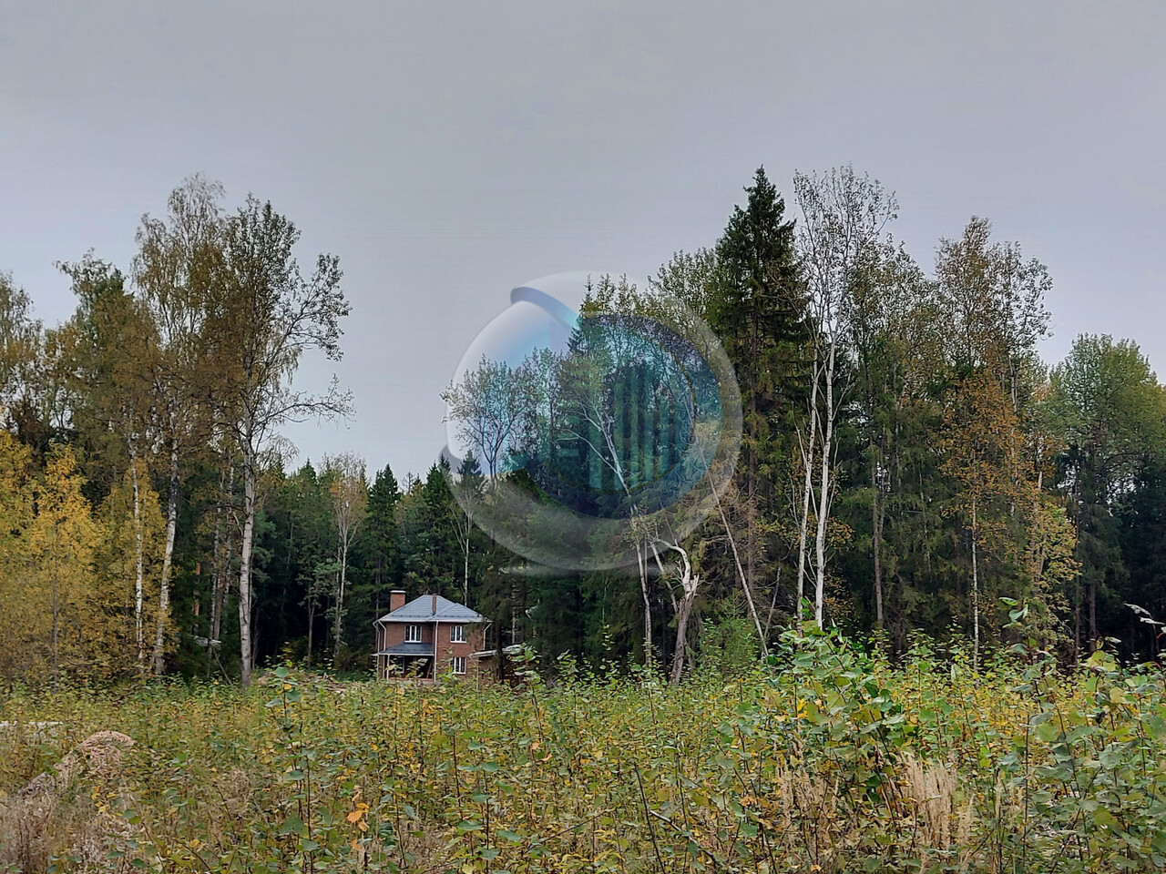 земля городской округ Пушкинский д Могильцы Ярославское шоссе фото 1