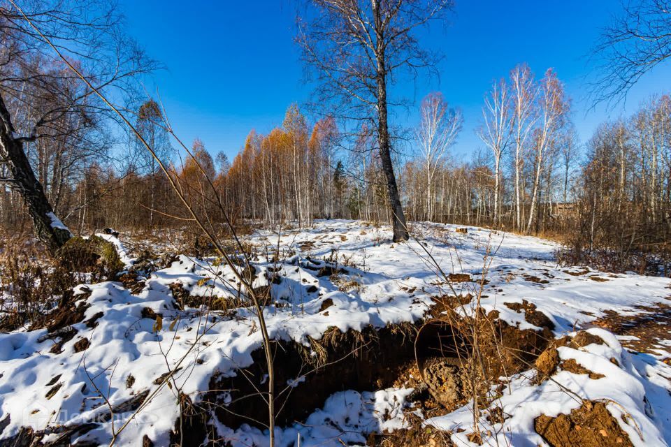 земля р-н Тюменский с Перевалово Сиреневая фото 7