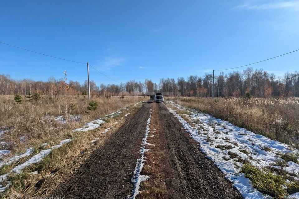 земля р-н Ялуторовский с Киева Садовая фото 3