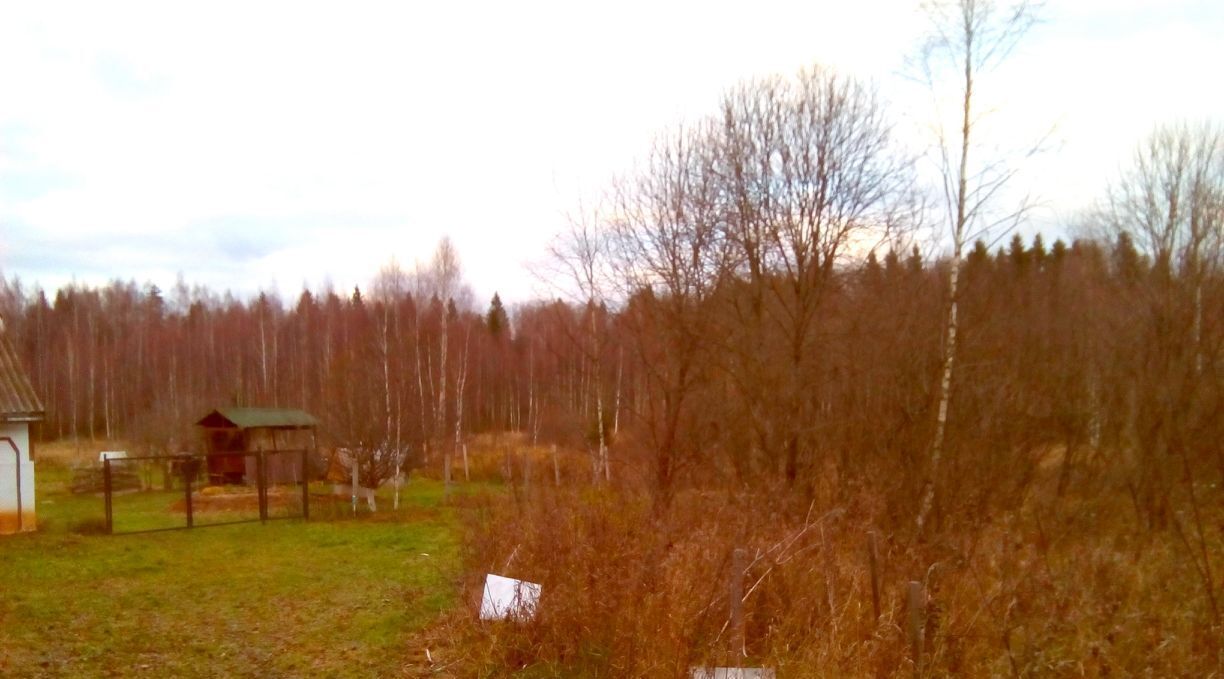 земля городской округ Можайский Тиунцево, 11, Рогачево фото 2