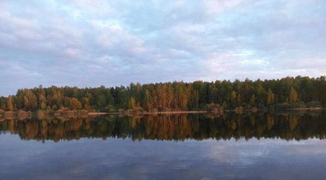 земля городской округ Истра с Онуфриево ул. Садовая фото 7